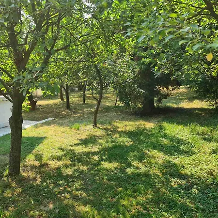 Private With Swimming Pool M&e * Koselji