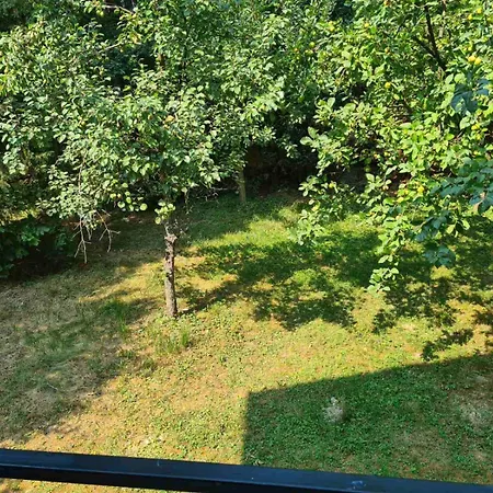 Private With Swimming Pool M&e Villa *