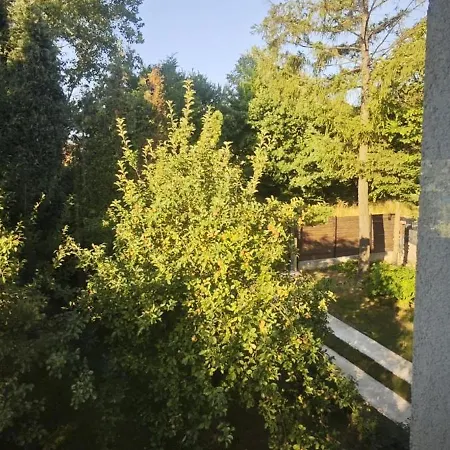 Private With Swimming Pool M&e * Koselji