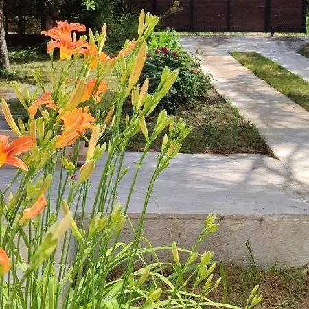 Private With Swimming Pool M&e * Koselji