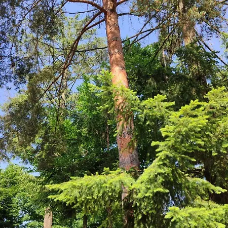 Private With Swimming Pool M&e Koselji