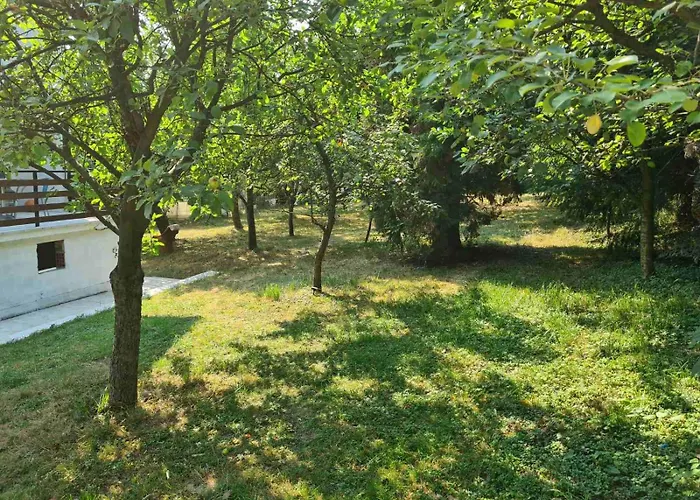 Private With Swimming Pool M&e * Koselji