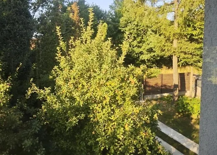 Private With Swimming Pool M&e * Koselji